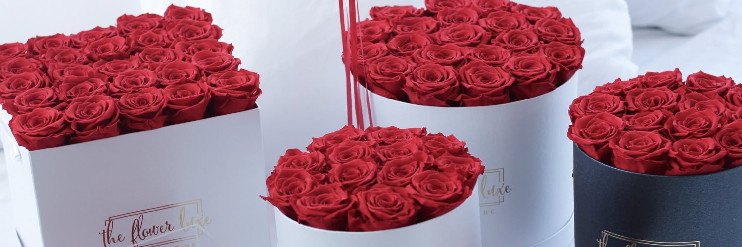 Theflowerluxe's profile banner image