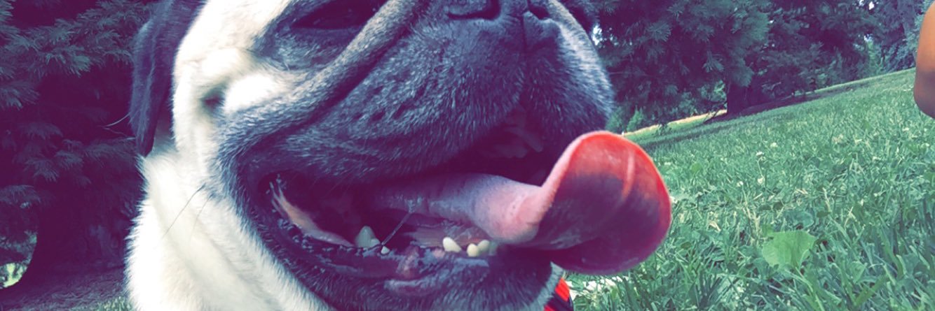 meskoozie_'s profile banner image