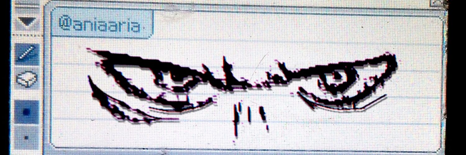 aniaaria's profile banner image