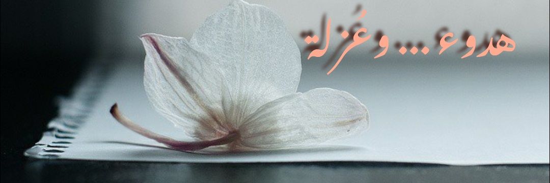 tolip_ma's profile banner image