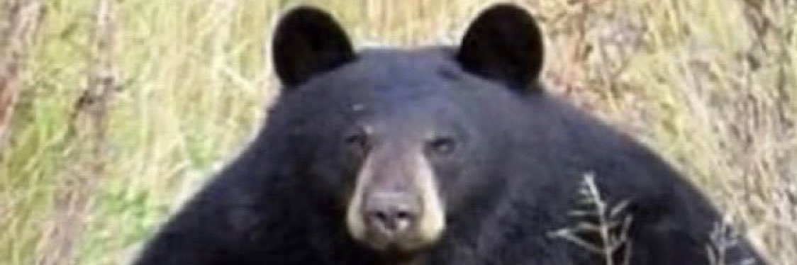 JibrexFPS's profile banner image