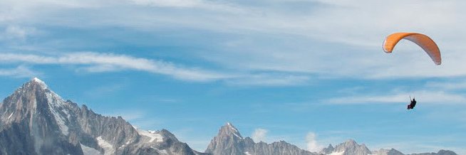 Bert Grantges banner