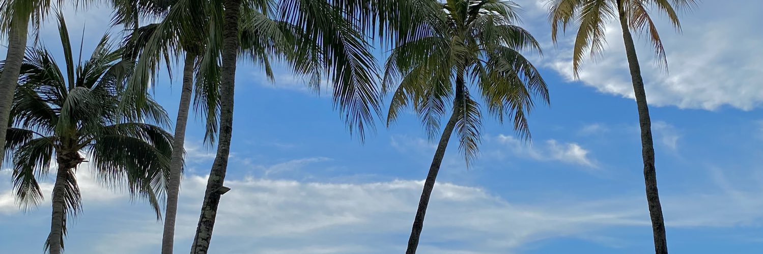 Gghhhh29's profile banner image