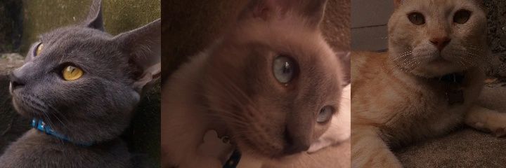 maara_mt's profile banner image