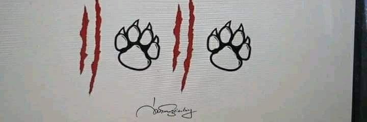 SlobodankaNB's profile banner image