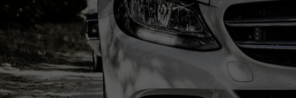 APSAtlanta Profile Banner