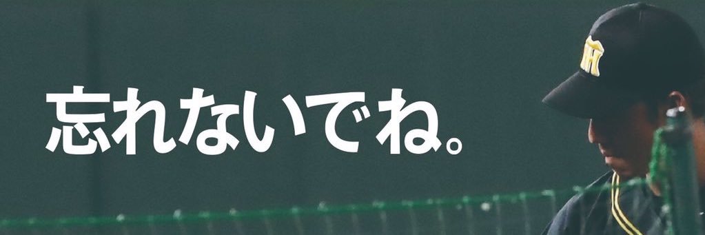 VTigers2003's profile banner image