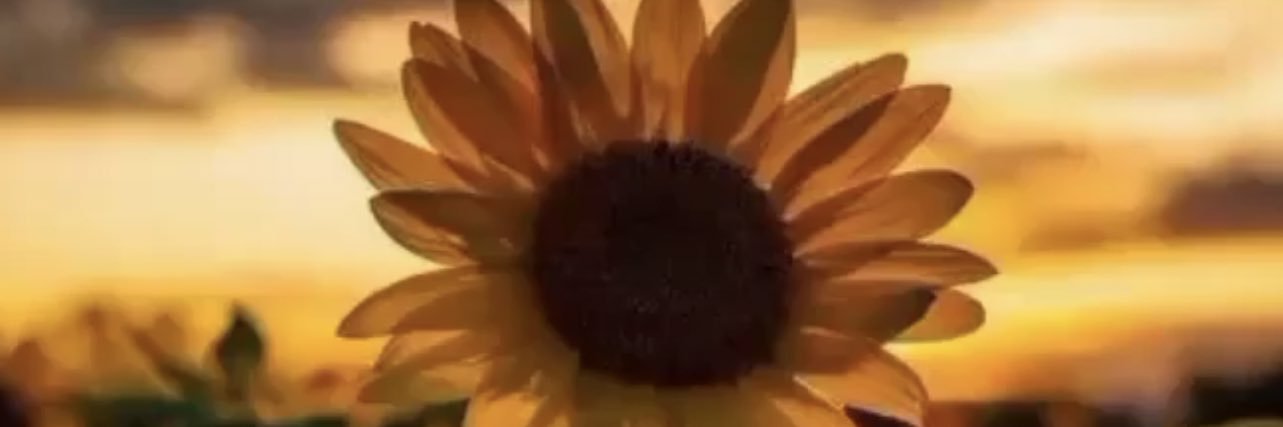 tynebrd's profile banner image