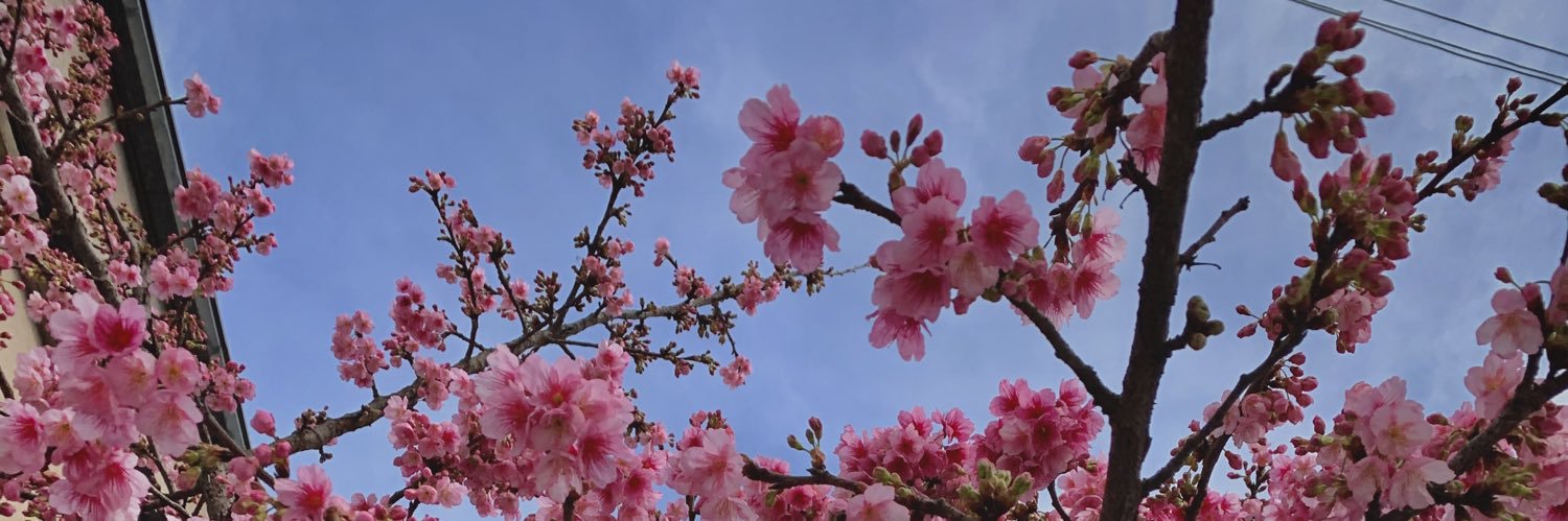Flower43P's profile banner image