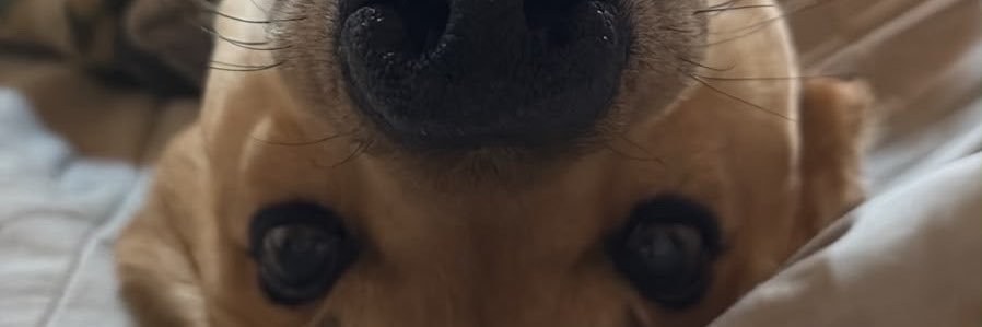 NachooGc11's profile banner image