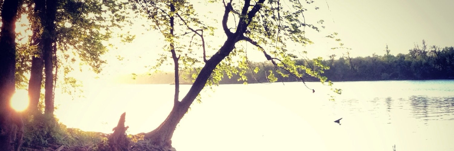 MyShitHangs's profile banner image