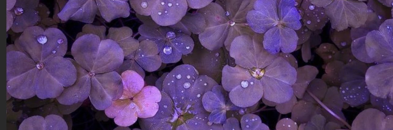 TEIF4535's profile banner image