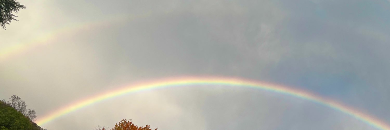 trinittree's profile banner image