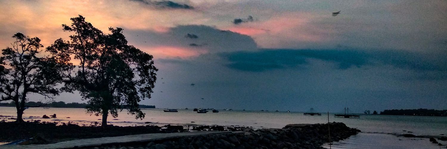 saedandani's profile banner image