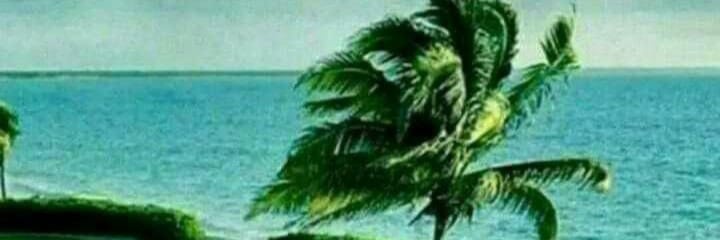 ssb_818's profile banner image