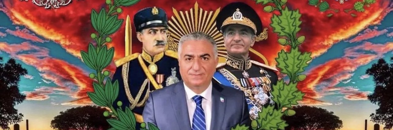 Farnaz 🇺🇸🇮🇱's banner