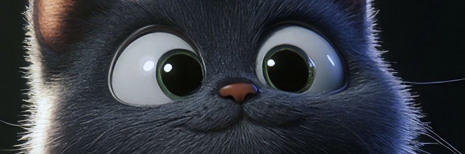 cacmayday's profile banner image