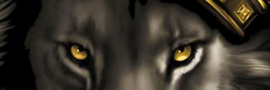 MMcFallan's profile banner image