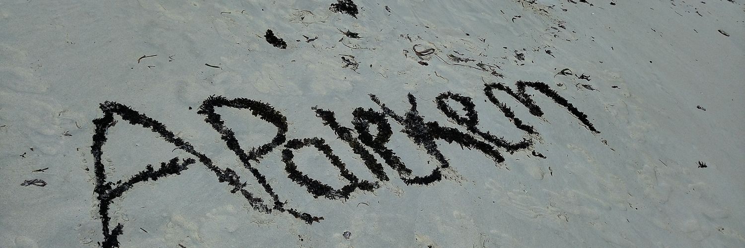 paap1002's profile banner image