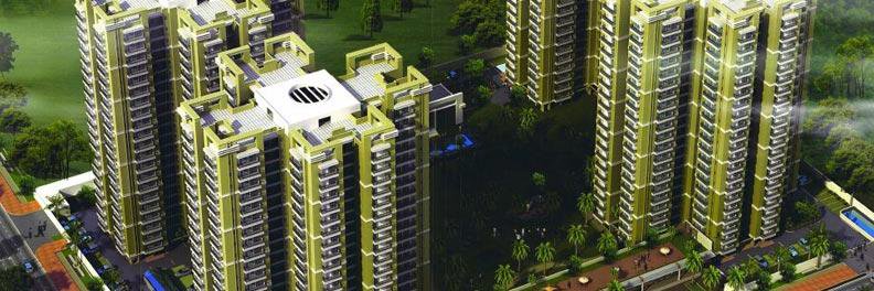 group_sikka's profile banner image