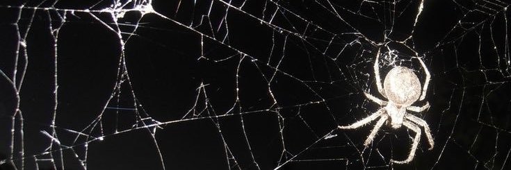 b4dger_'s profile banner image