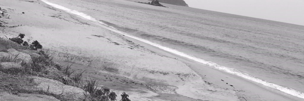 ysysyshu's profile banner image
