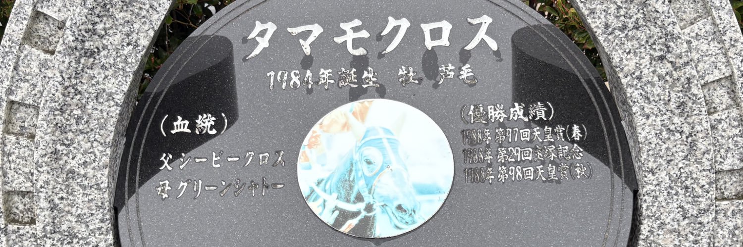 se___ja___'s profile banner image