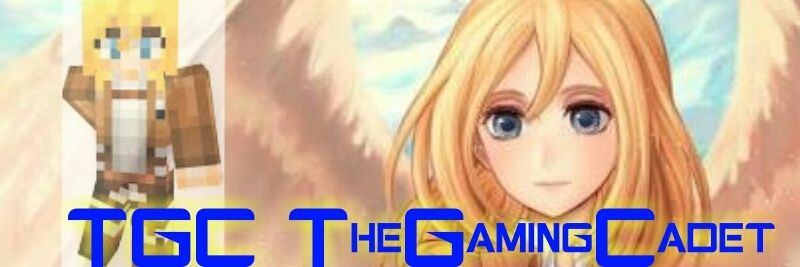 tgamingcadet's profile banner image