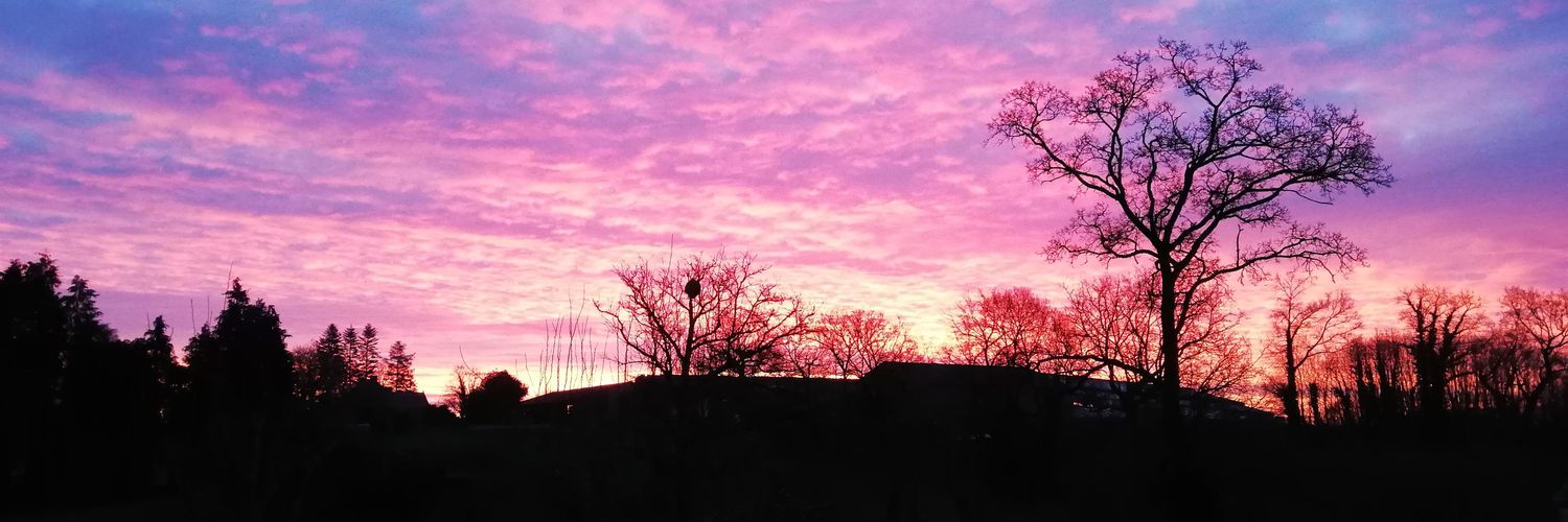 Bertrand CHEVALIER 🐄🚜🌾🐔🌽🍀 banner