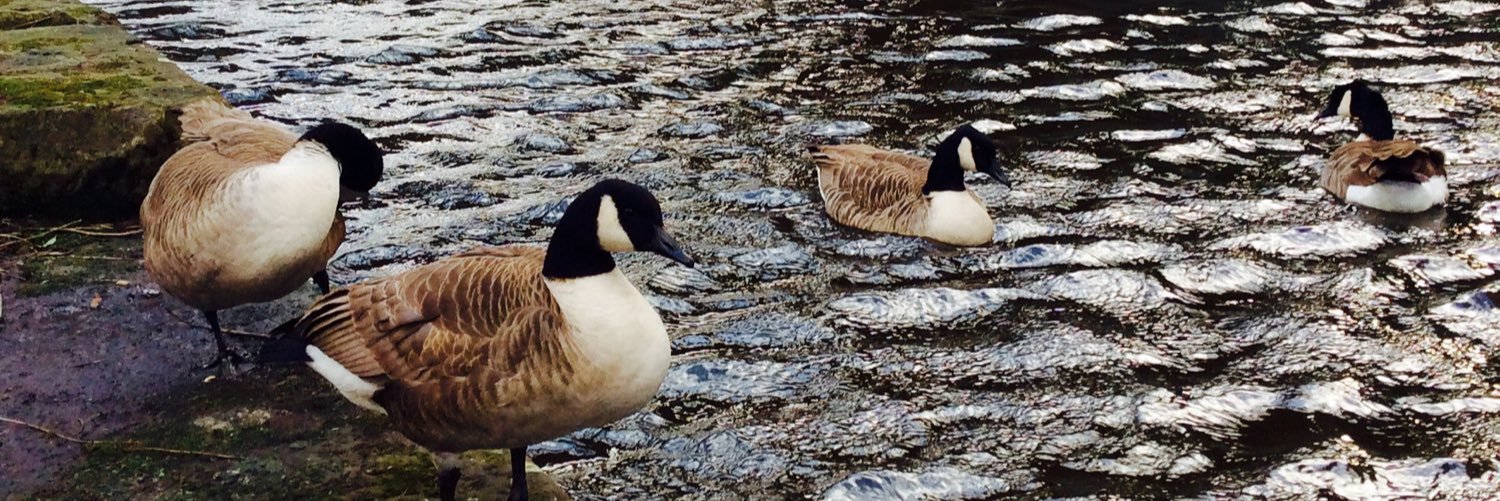 YHA Manchester banner