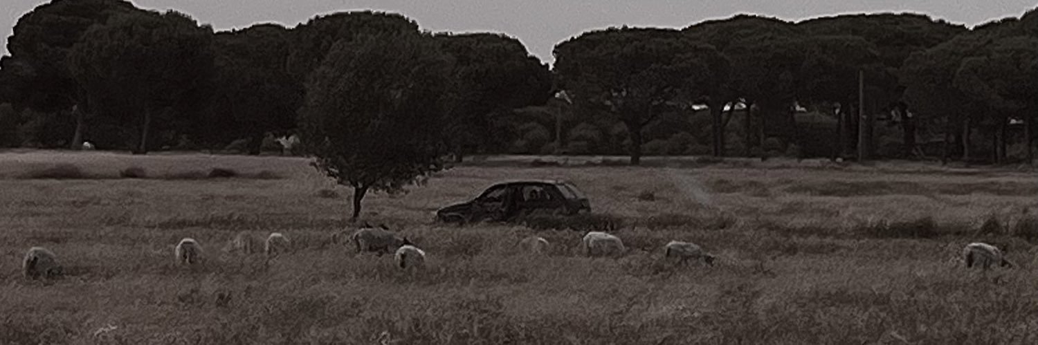 zeerich94's profile banner image
