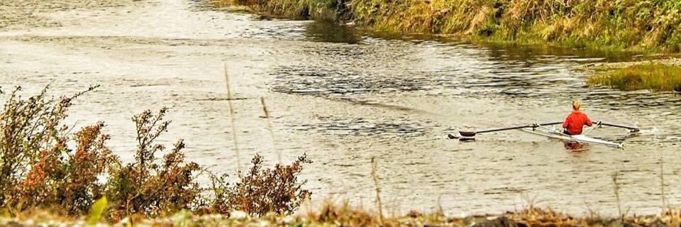 Shelly Dineen banner