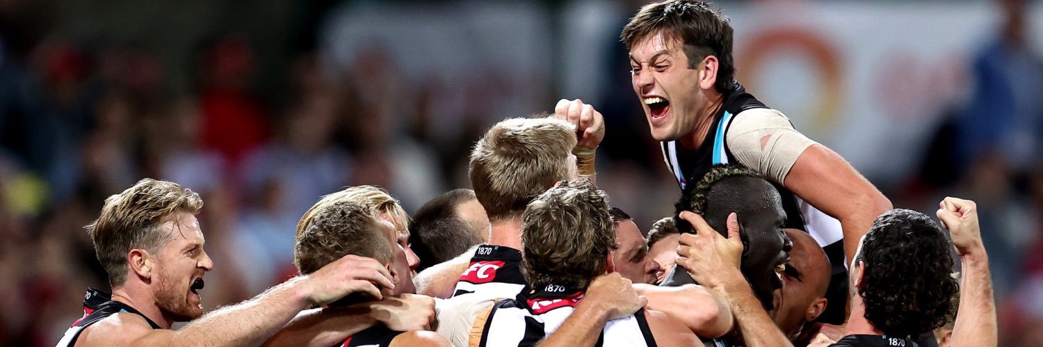 PAFC_NSWMember's profile banner image