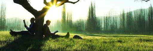 Libromares's profile banner image