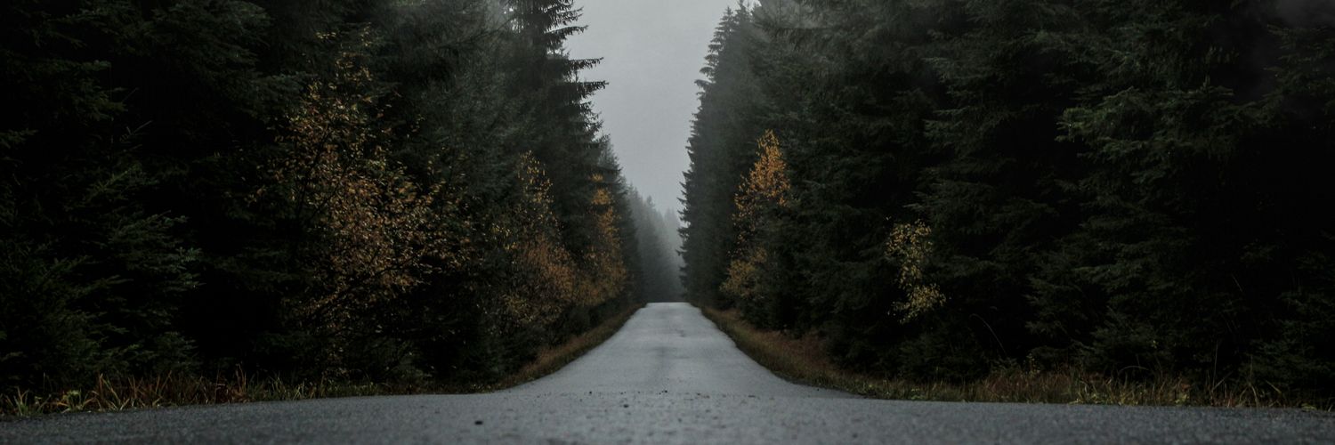 WhoIsJohny's profile banner image