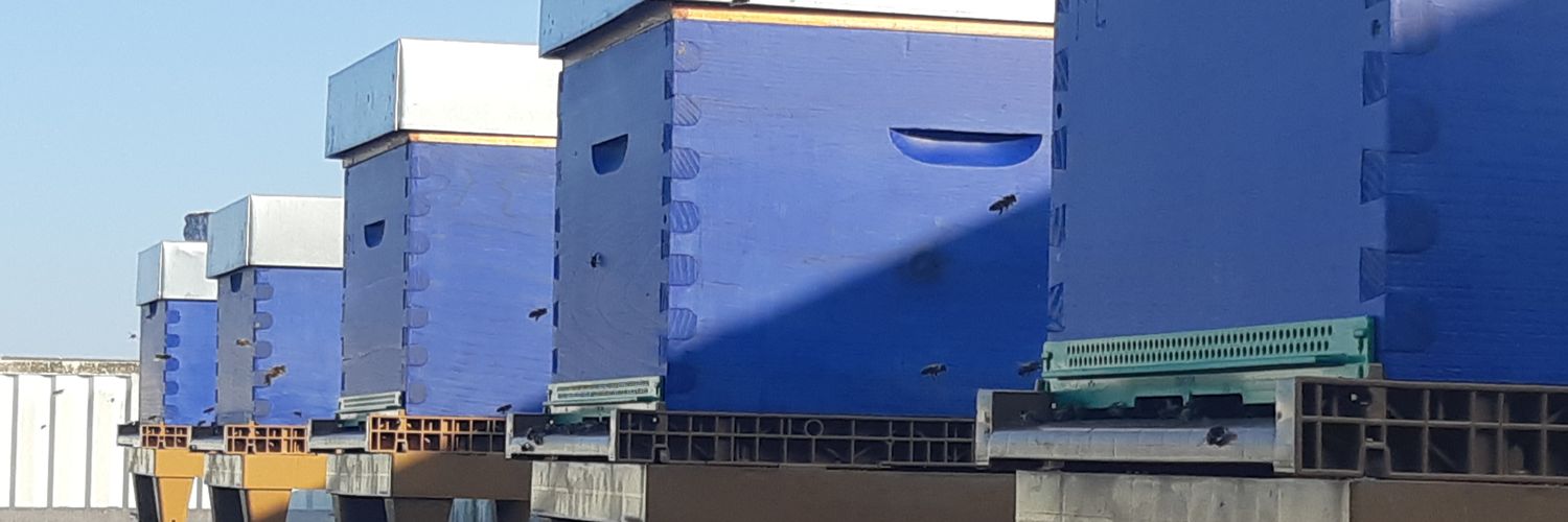 jplpouc21's profile banner image