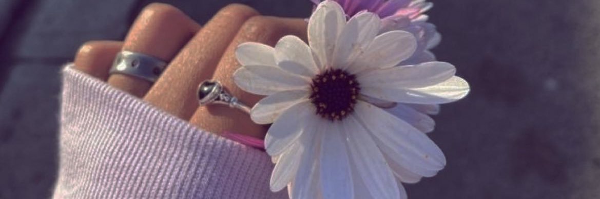 Eleina banner