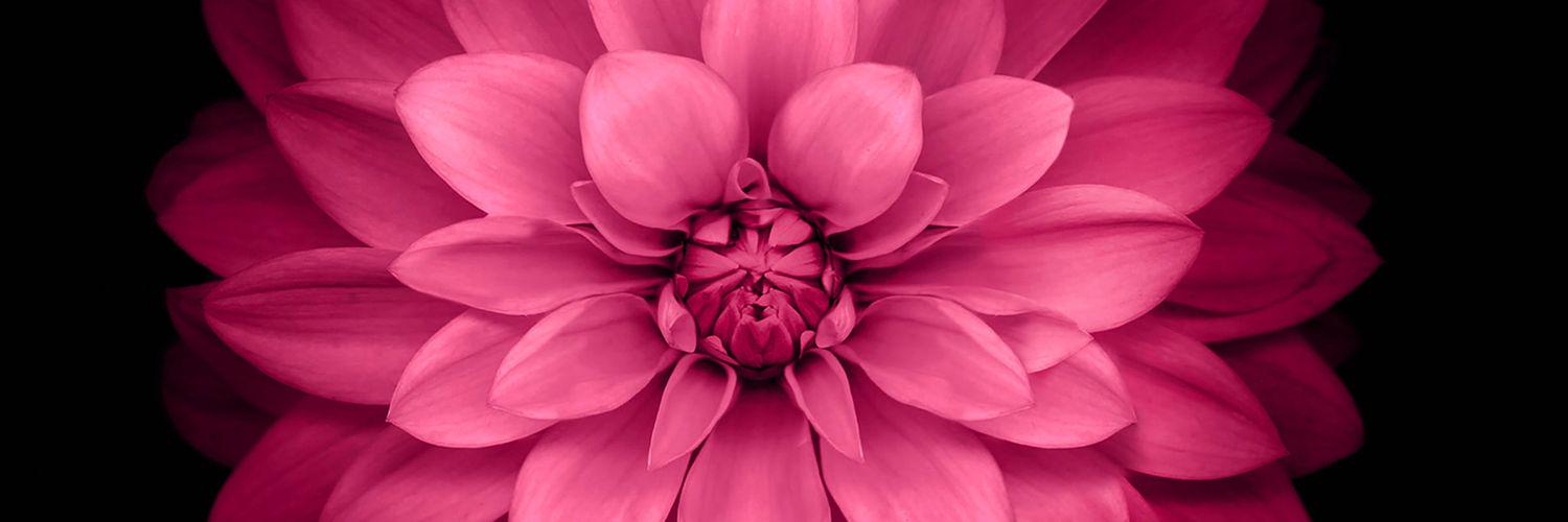 Owlee22's profile banner image