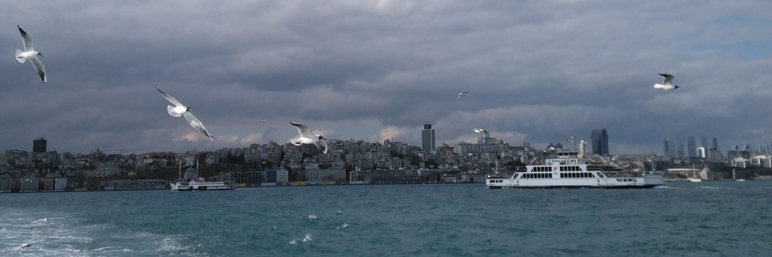 yigit505050's profile banner image