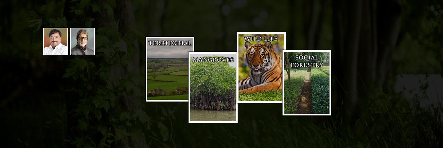 forestdeptmh's profile banner image