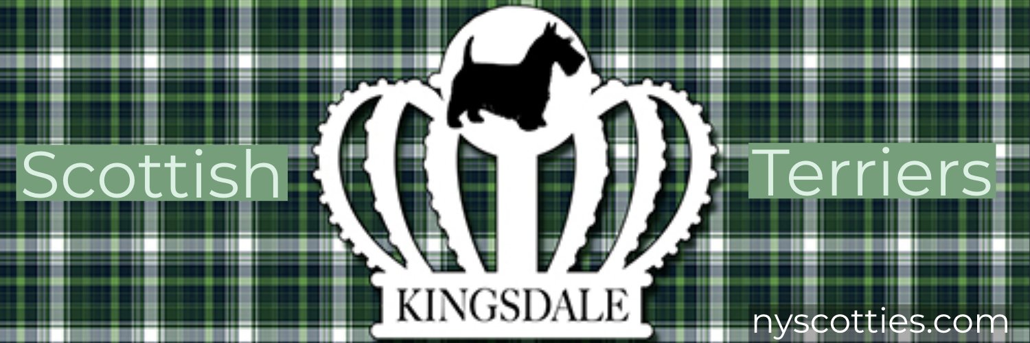 NYScotties's profile banner image