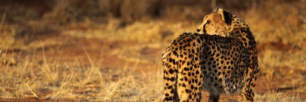 IsaacMurono's profile banner image