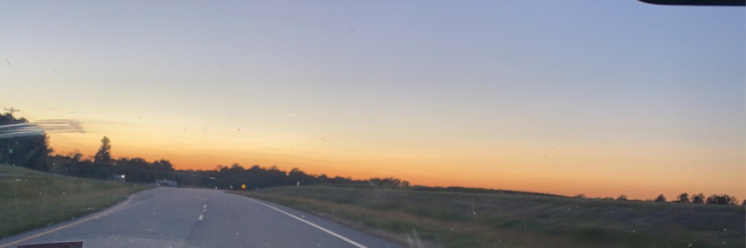 _sydneydeshazo's profile banner image