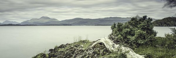 LLBlender Profile Banner