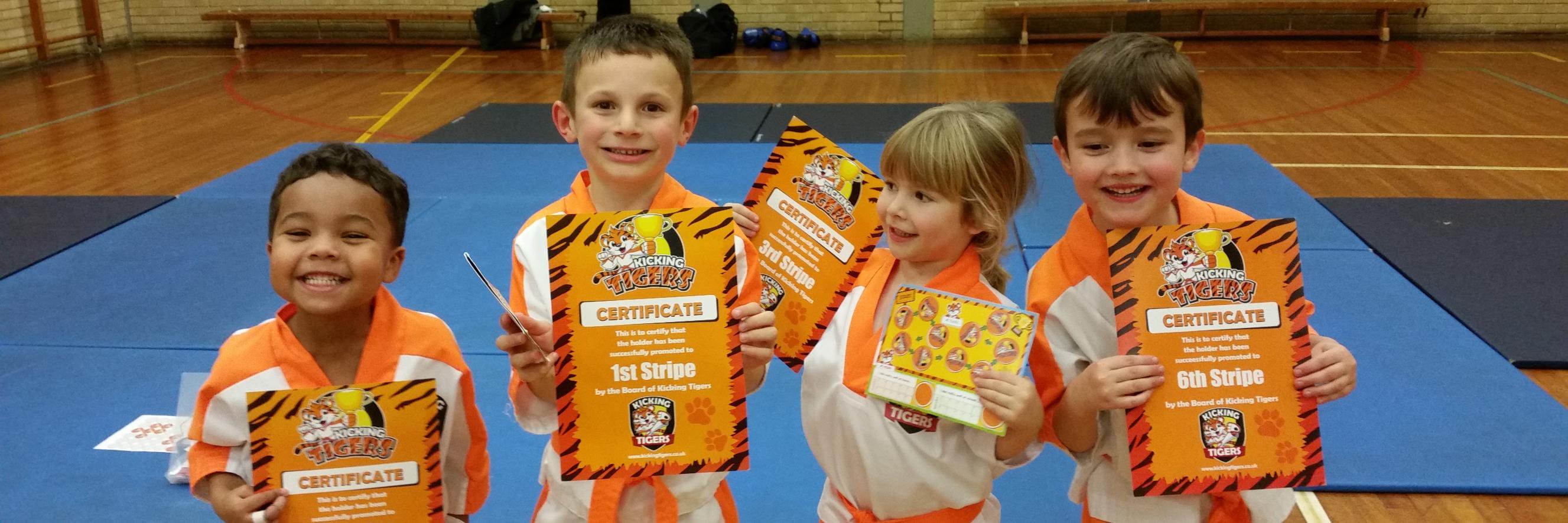 kickingtigers's profile banner image