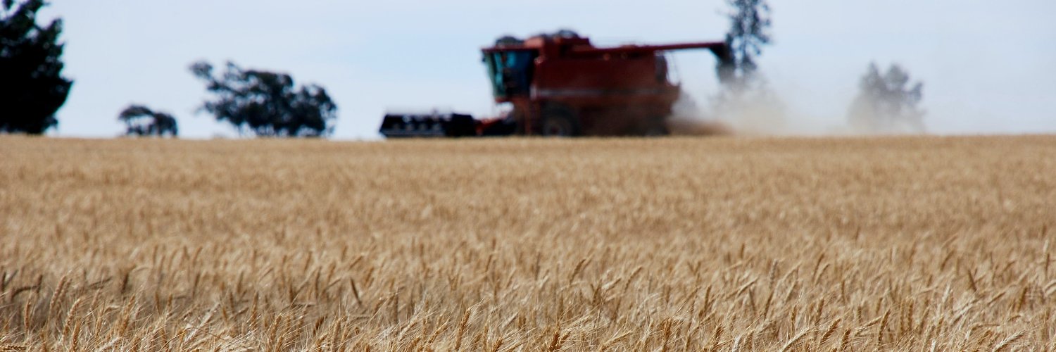 Amr - relax researcher 😌 banner