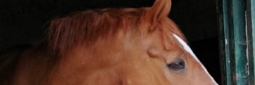 Roxyr06's profile banner image