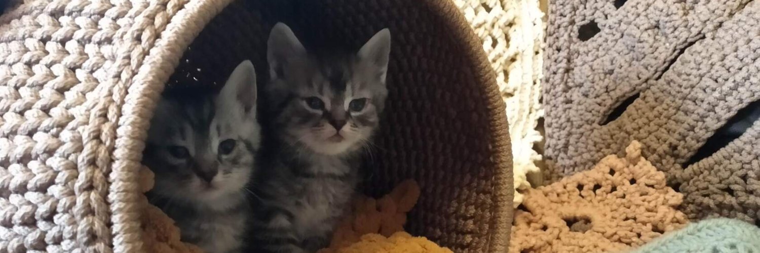 intertina's profile banner image