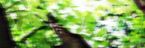 red_sbtn_8's profile banner image