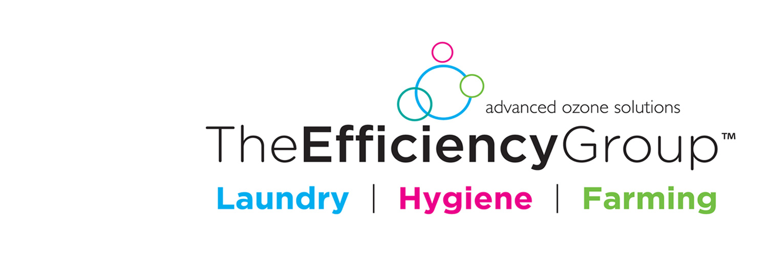 The Efficiency Group banner